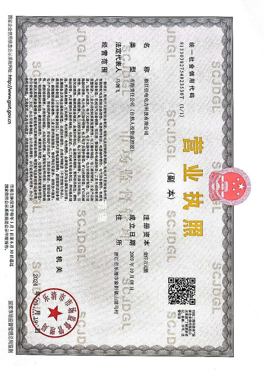 Business License